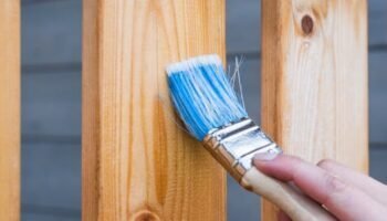 Best Wood Fence Stain A hand painting a wooden fence plank with a blue paintbrush outdoors. Perfect for DIY and renovation themes.