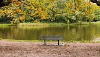 Peaceful autumn scene with a bench overlooking a lake in Den Haag park.