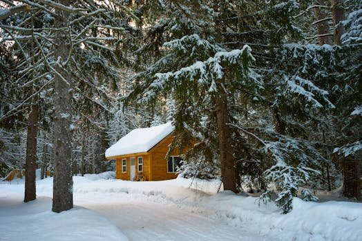Charming winter cabin nestled among snowy evergreens in Duluth, MN.